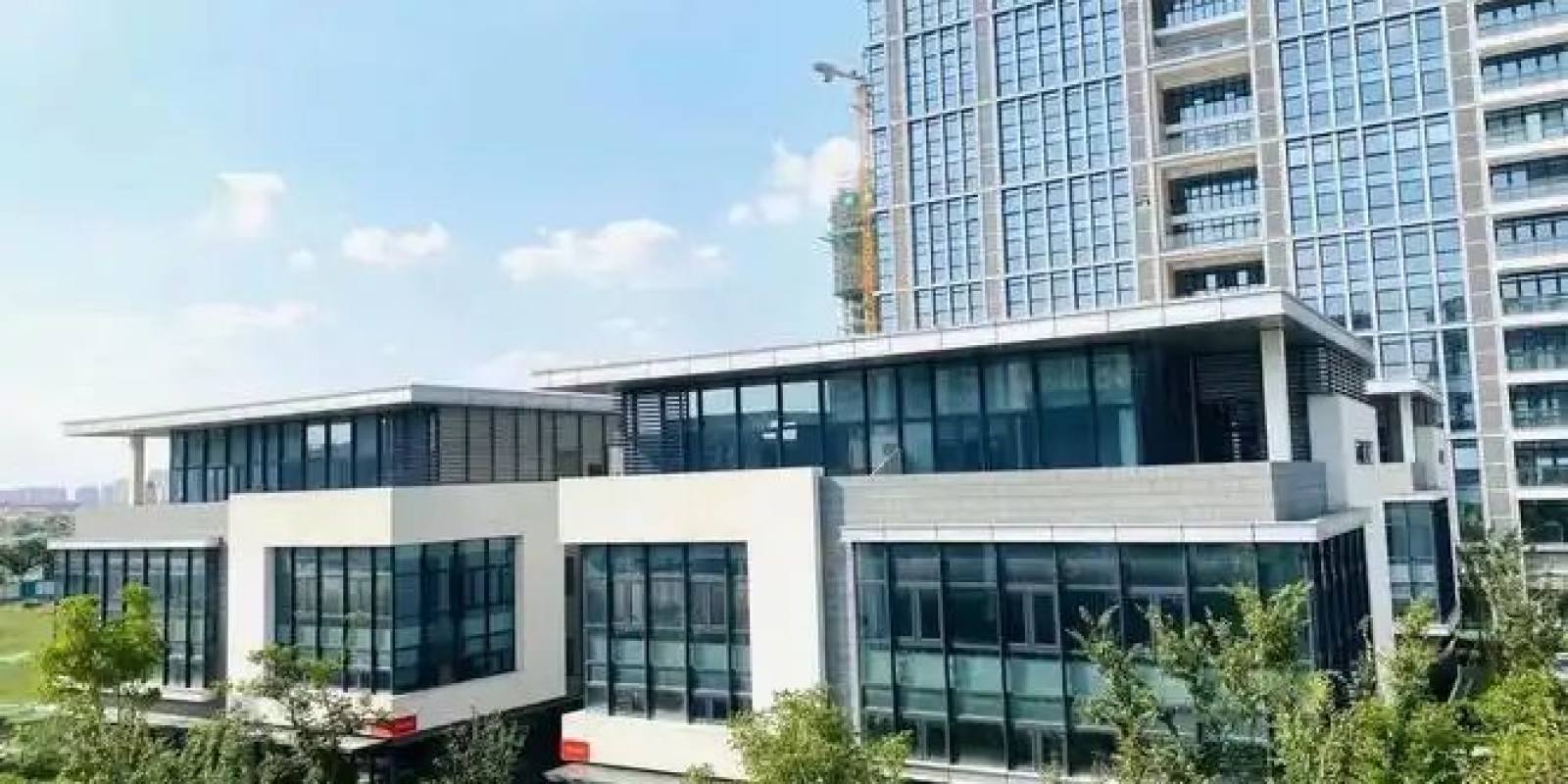 JJB竞技宝 竞技数据服务 JJB竞技宝 竞技之巅 宝藏之选 官方入口